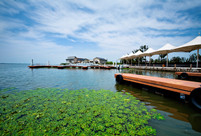 巨人網絡11年游陽澄湖、沙家浜 巨人網絡11年游陽澄湖、沙家浜