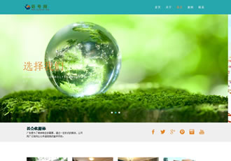 響應式服務性通用公司網站織夢模板(自適應設備