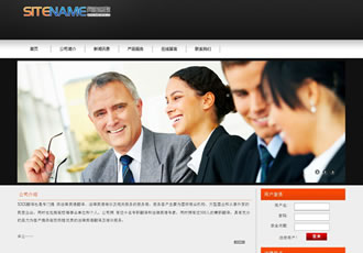 財務(wù)會計(jì)咨詢法律相關(guān)服務(wù)建站模板