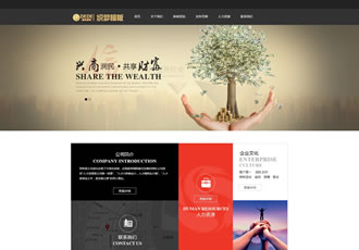 黑色大氣金融投資企業網站織夢模板