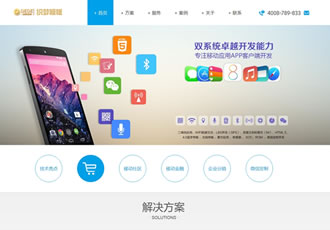 簡(jiǎn)潔大氣手機(jī)軟件開(kāi)發(fā)科技類(lèi)企業(yè)織夢(mèng)模板